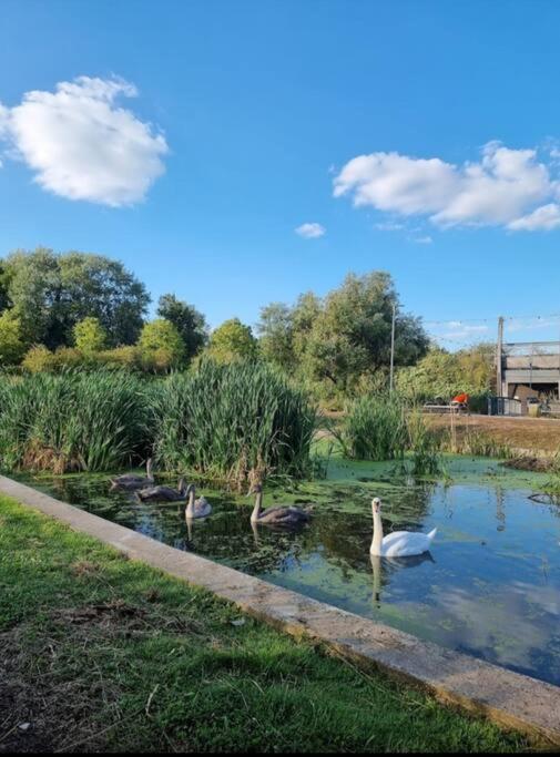 Апартаменты Flat 3 Gr 1 Bedroom 3 Mins Walk Mile End Station